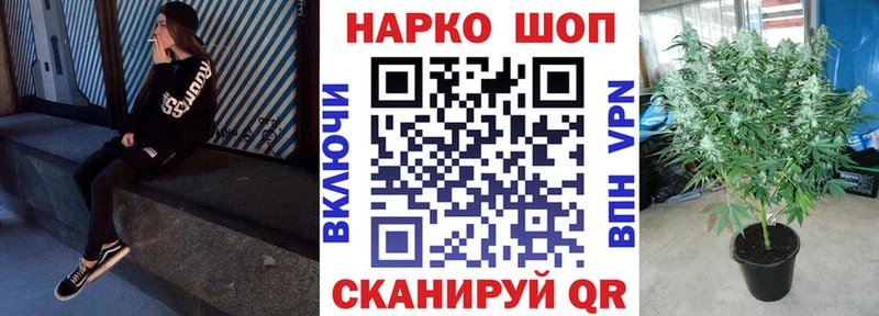 Наркошоп купить Конопля  Меф мяу мяу  APVP  Псилоцибиновые грибы  Гашиш  Жиздра